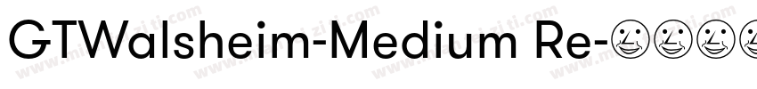 GTWalsheim-Medium Re字体转换